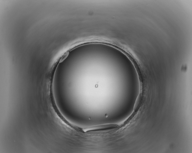 X0000090721504200707271141
