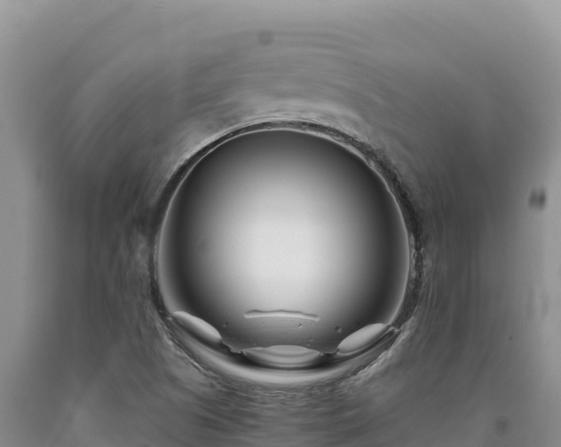 X0000090721505200707271141