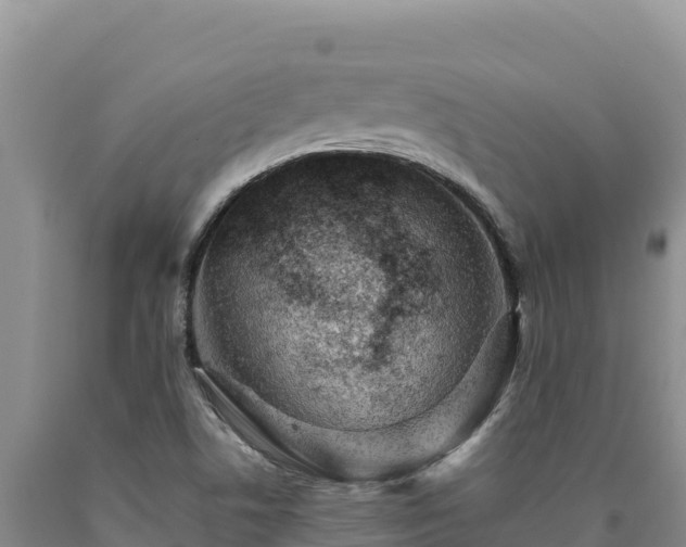 X0000090721506200707271141