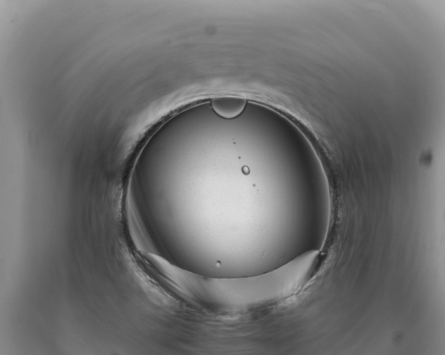X0000090721507200707271141