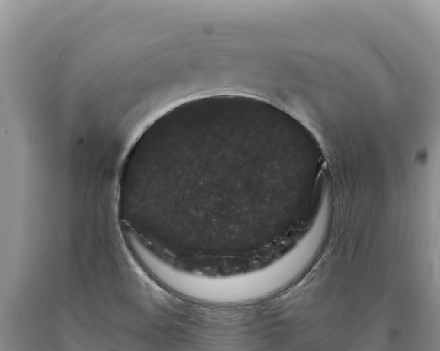 X0000090721508200707271141