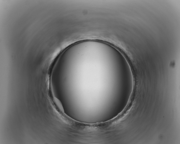 X0000090721509200707271141