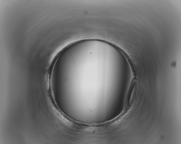 X0000090721510200707271141