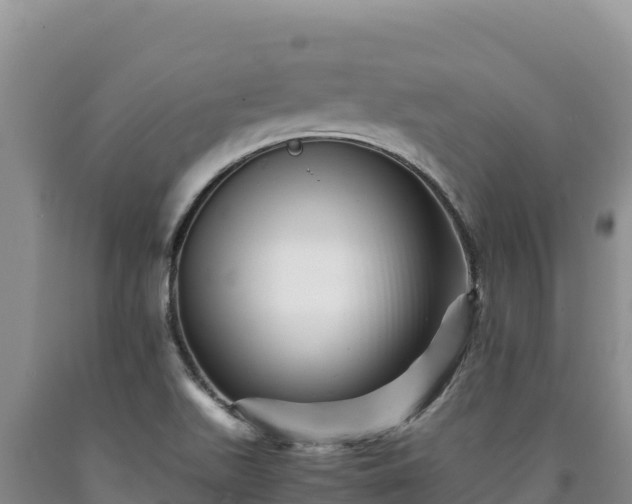 X0000090721511200707271141