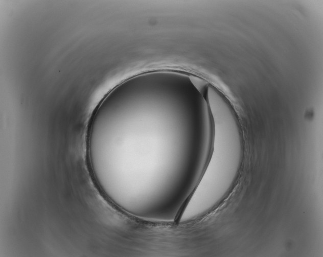X0000090721512200707271141