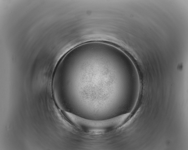 X0000090721513200707271141
