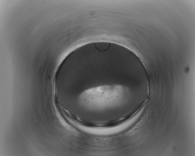 X0000090721515200707271141