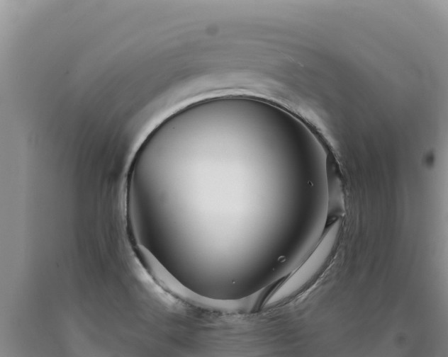 X0000090721516200707271141