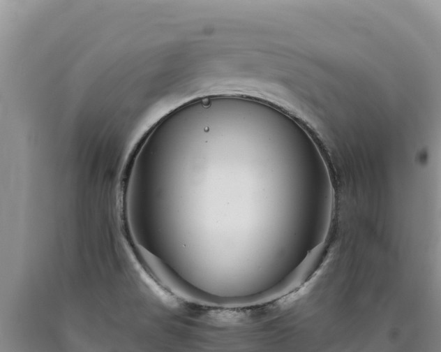 X0000090721517200707271141