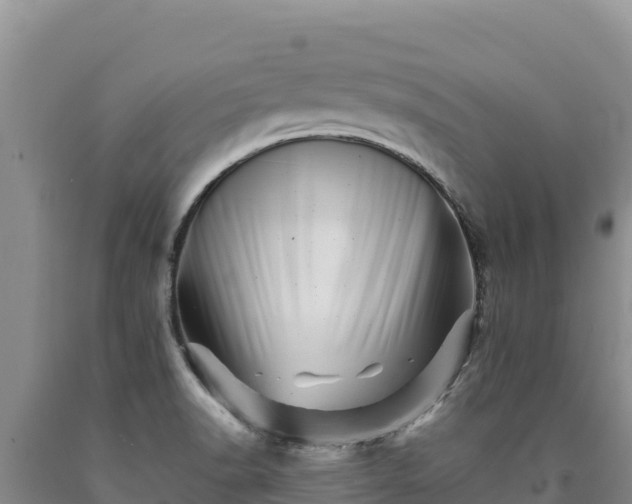 X0000090721518200707271141