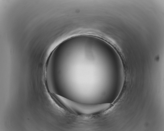 X0000090721520200707271141
