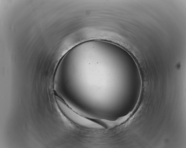 X0000090721521200707271141