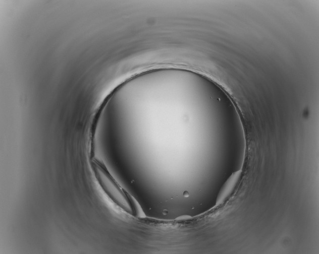 X0000090721523200707271141