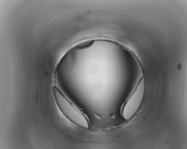 X0000090721524200707271141