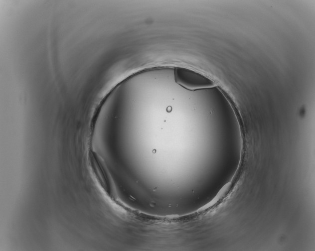 X0000090721525200707271141