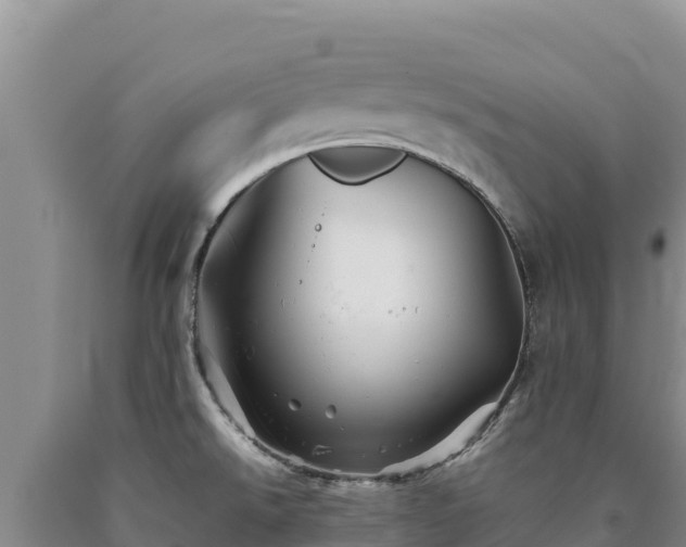 X0000090721526200707271141