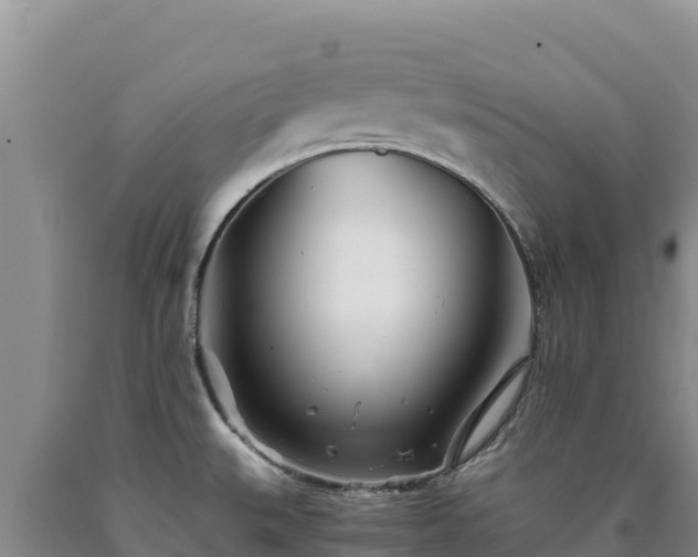 X0000090721527200707271141