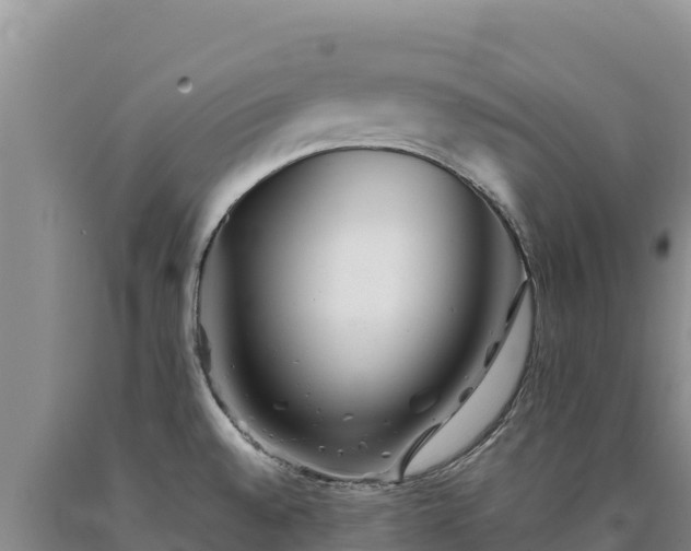 X0000090721528200707271141
