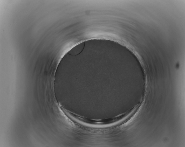 X0000090721529200707271141