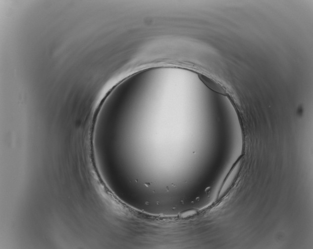 X0000090721530200707271141