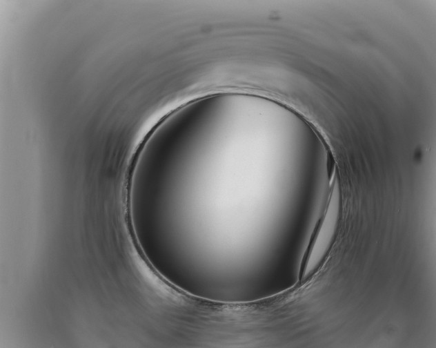 X0000090721531200707271141