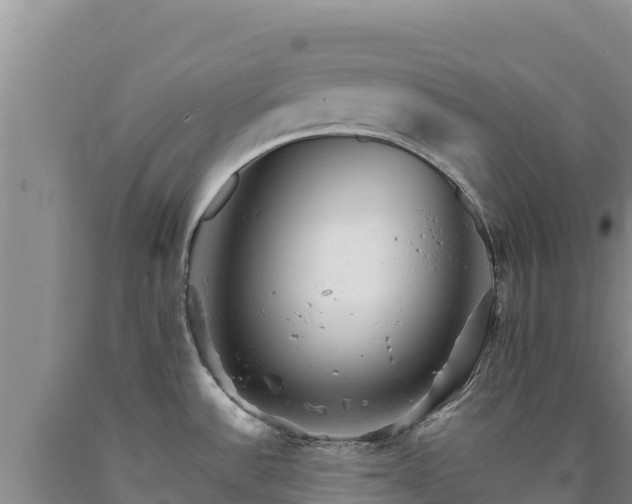 X0000090721532200707271141