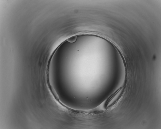 X0000090721533200707271141