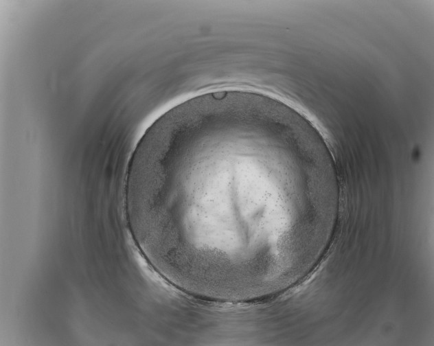 X0000090721534200707271142