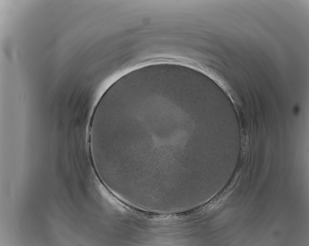 X0000090721535200707271142