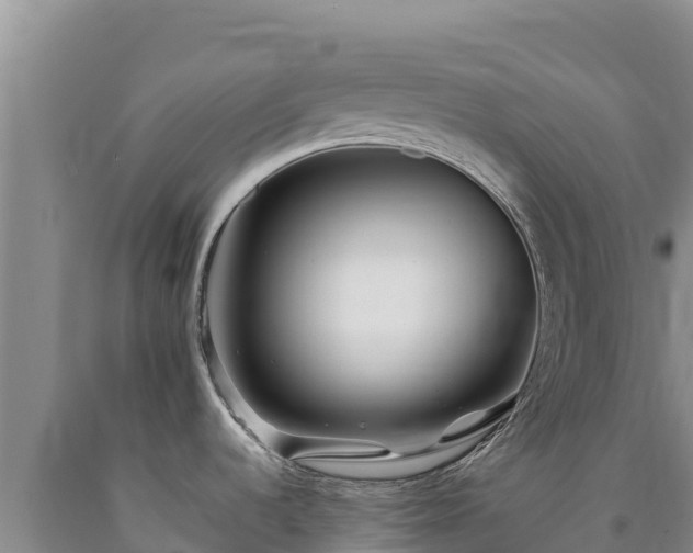 X0000090721536200707271142