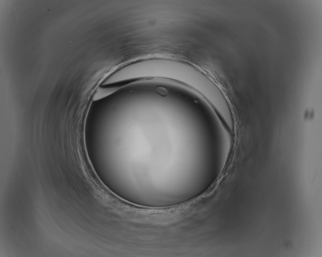 X0000090720001200708031511