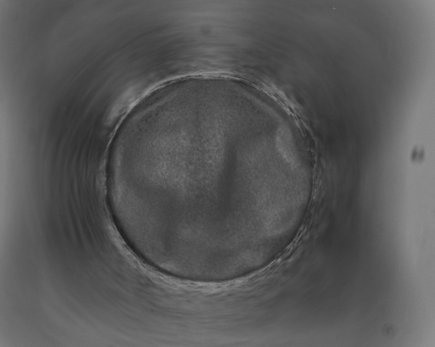 X0000090720002200708031511