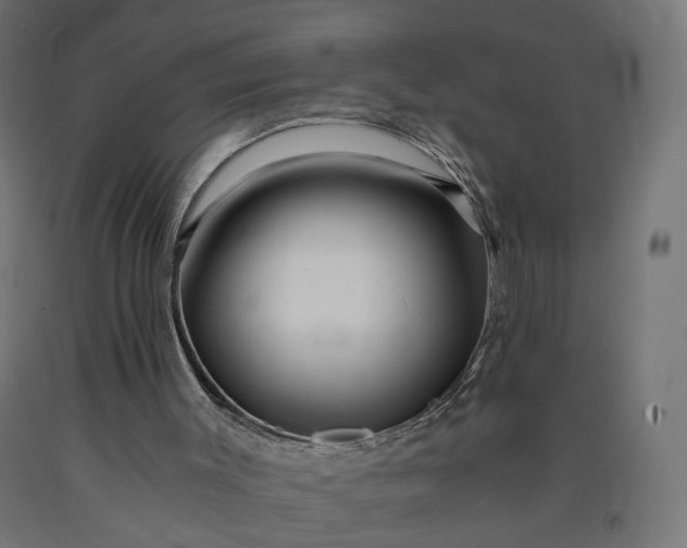 X0000090720003200708031511