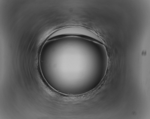 X0000090720005200708031511