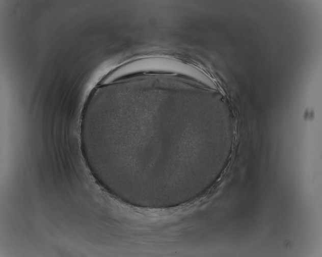 X0000090720006200708031511