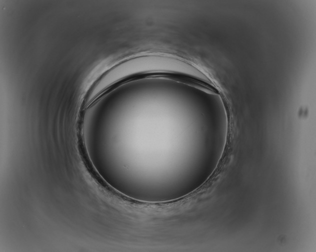 X0000090720007200708031511