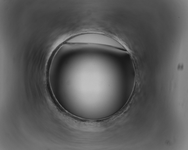 X0000090720008200708031511