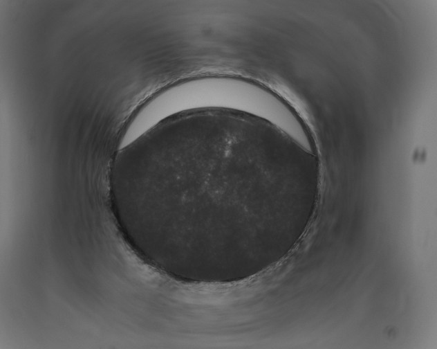 X0000090720009200708031511