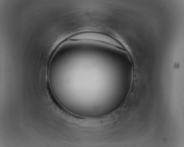 X0000090720011200708031511
