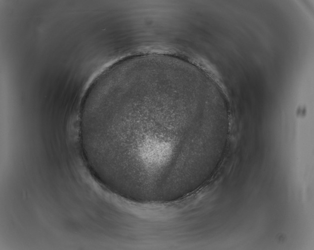 X0000090720012200708031511