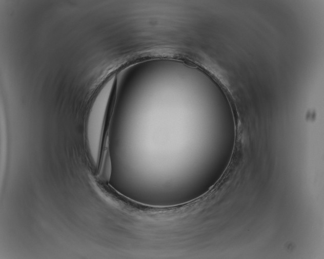 X0000090720013200708031511