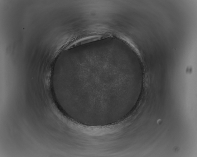 X0000090720018200708031511