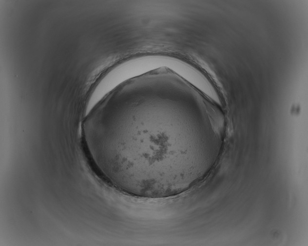 X0000090720019200708031511