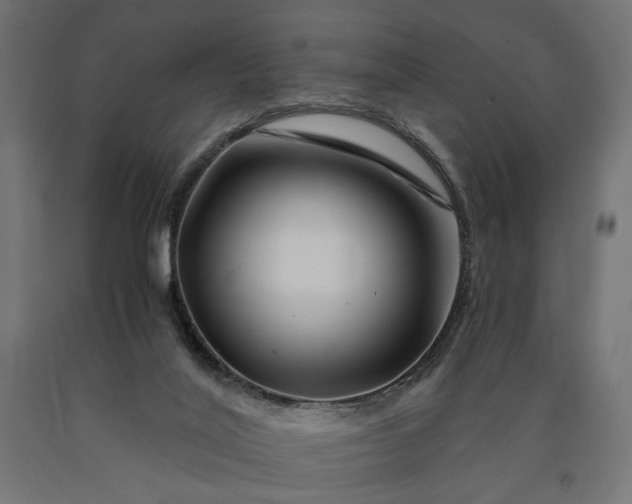 X0000090720020200708031511