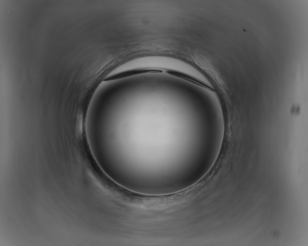 X0000090720021200708031511