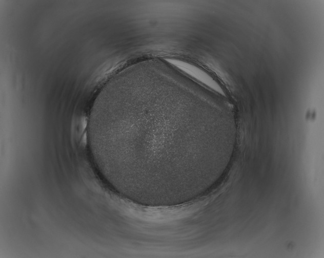 X0000090720022200708031511