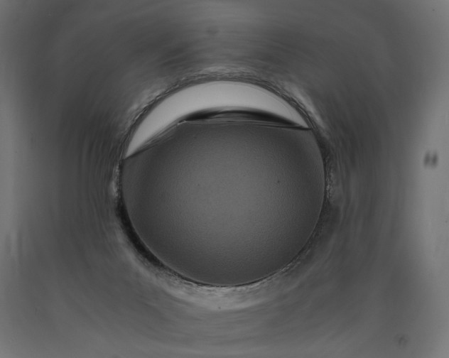 X0000090720023200708031511