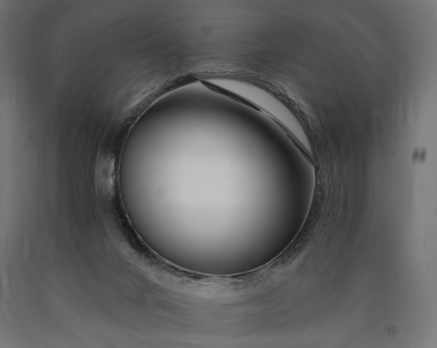 X0000090720024200708031511