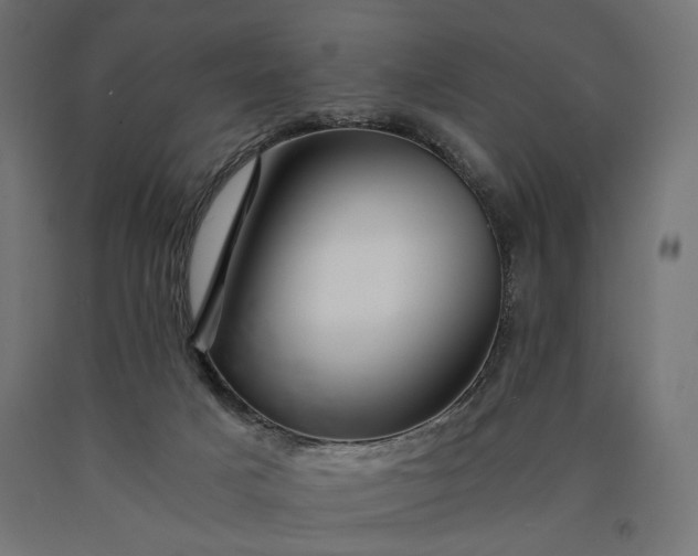 X0000090720025200708031511