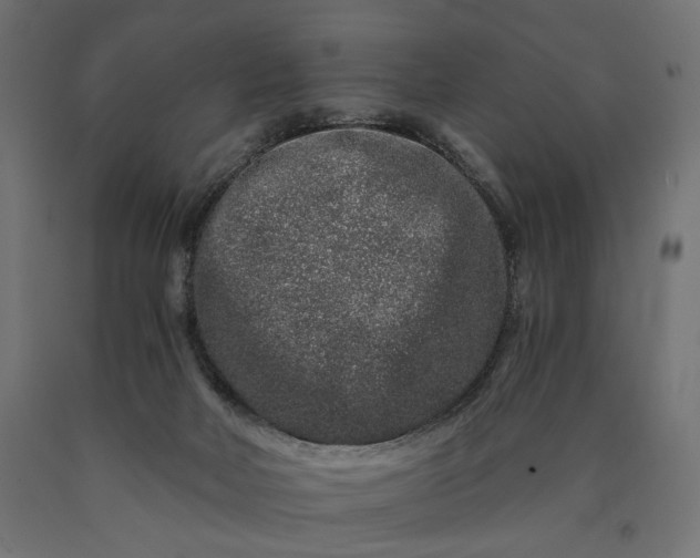 X0000090720026200708031511